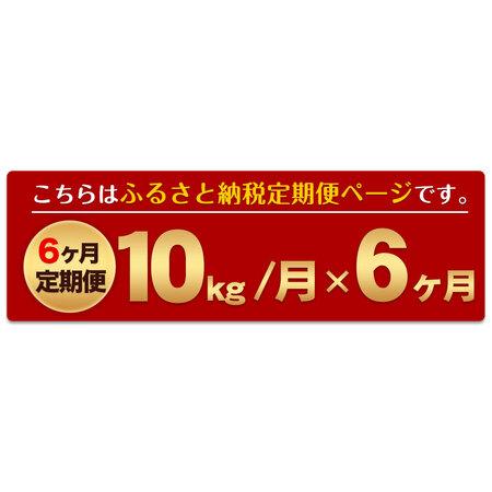 ふるさと納税 新米 令和5年産 森のくまさん  白米 《お申込み月の翌月から出荷開始》 10kg (5kg×2袋)  計6回お届け 熊本県.. 熊本県御船町