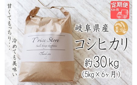 T rice Store 岐阜県産コシヒカリ（玄米） 約30kg(5kg×6回）