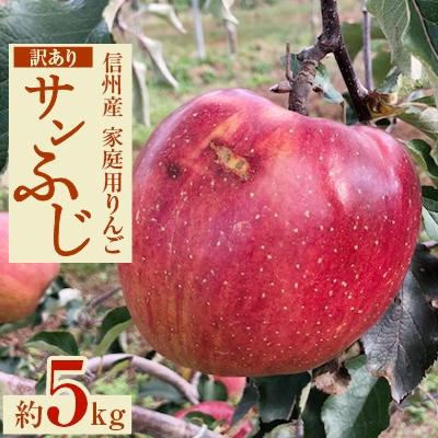 ふるさと納税 長野県 家庭用りんご　サンふじ「訳あり」約5キロセット