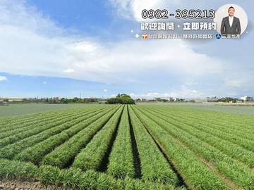 活路有水電‼️方正千坪臨路農地找健豪✨｜彰化縣埔鹽鄉三省段