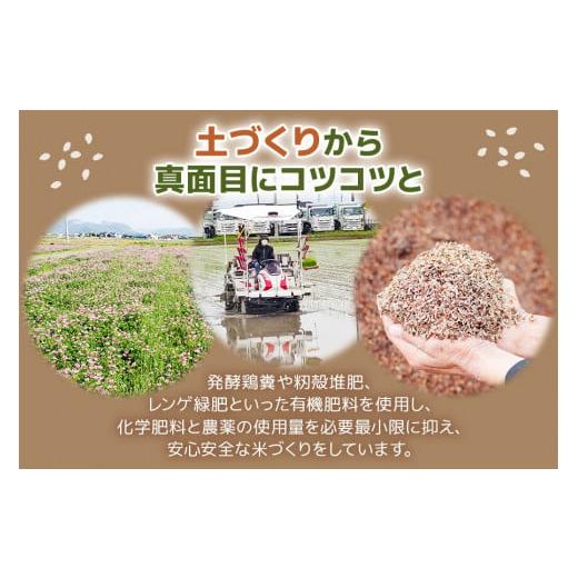 ふるさと納税 岐阜県 本巣市 令和5年産 岐阜県産新米 コシヒカリ10kg[1442]