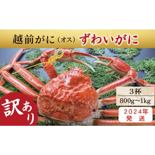 ふるさと納税 福井県 越前市 越前がに（オス）「ずわいがに」大サイズ（800g-1kg） 訳あり 3杯