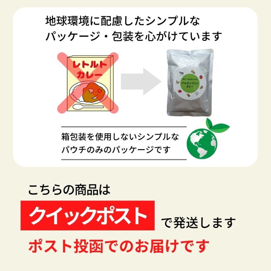 グルテンフリー カレー レトルト8袋セット｜グルテンフリー検査済｜ たっぷり200ｇ おいしい レトルトカレー グルテンフリー