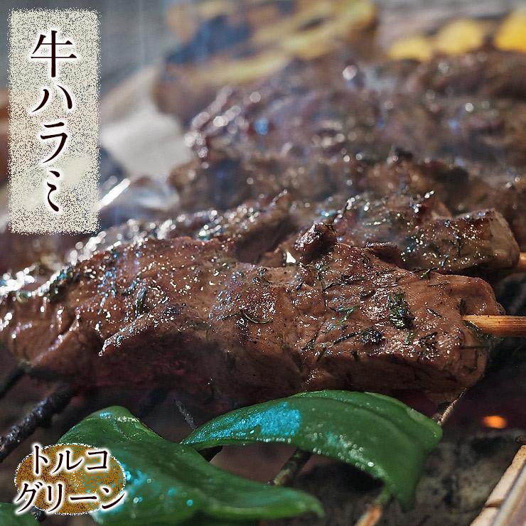 牛串 牛ハラミ トルコグリーン ケバブ 5本 BBQ 焼き肉 バーベキュー 焼鳥 肉 お中元 ギフト 贈り物 生 チルド