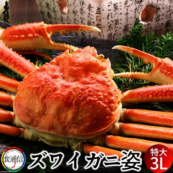 ずわいがに姿 特大1尾（800g〜1kg）ボイル かに ずわい蟹 ズワイガニ 姿［お歳暮 2023 ギフト 御歳暮］