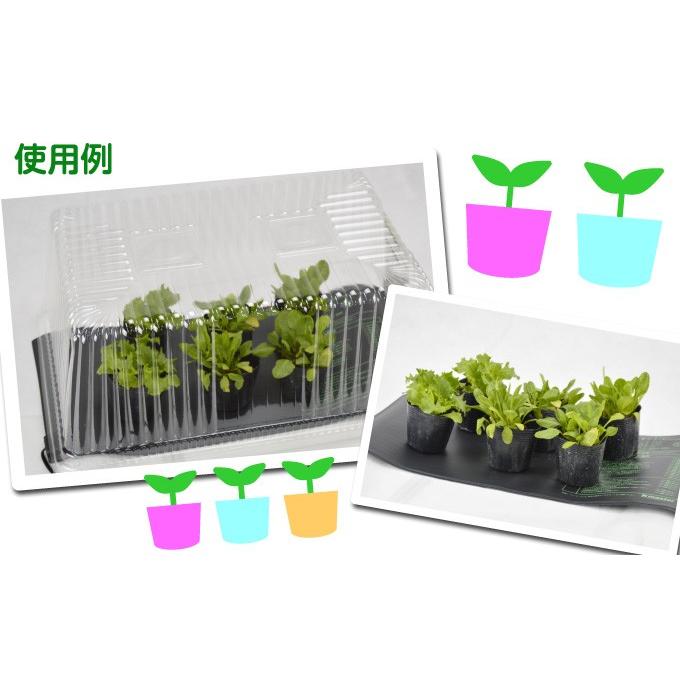 ヒートマット 育苗 植物 保温マットS 1個　発芽マット 育苗器 ヒーターマット 育苗マット 温床 国華園