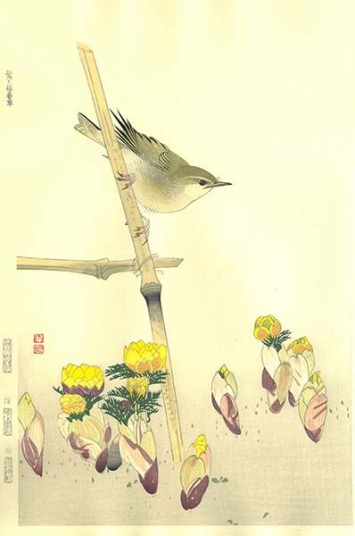 福田翠光木版画 鶯と福寿草 Suiko Fukuda　Woodcutprint