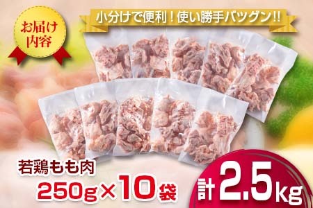 小分けで便利 カット済 若鶏 もも肉 計2.5kg 250g×10袋 肉 鶏 鶏肉 国産 おかず 食品 お肉 チキン 送料無料_B219-23