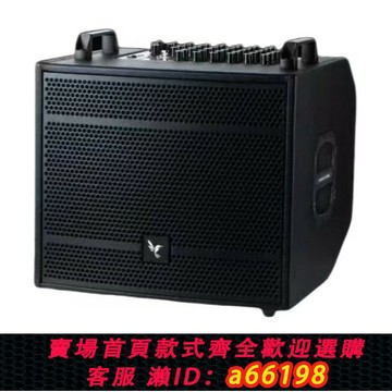 【台灣公司 可開發票】唯森V9音響大功率戶外多功能音箱480W(兩支話筒，便攜包)路演音響