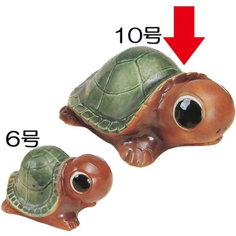 笠間焼】大崎透 陶の動物園 『ホウシャガメ』 陶器 オブジェ