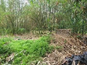 竹山農地｜南投縣竹山鎮延祥段