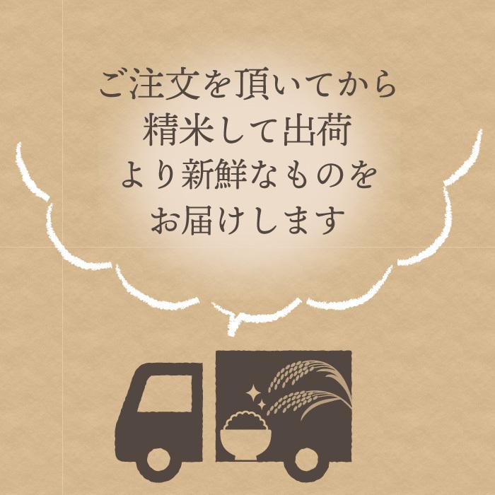 無洗米 新潟県産 コシヒカリ 特別栽培米 24kg 令和5年産 新米 こしひかり 24キロ 農家直送 減農薬