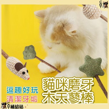 貓薄荷 木天蓼棒棒糖⭐10%蝦幣回饋 木天蓼棒 貓薄荷 木天蓼 貓草棒 貓咪磨牙 貓咪 磨牙玩具 貓草磨牙棒【CAT補給