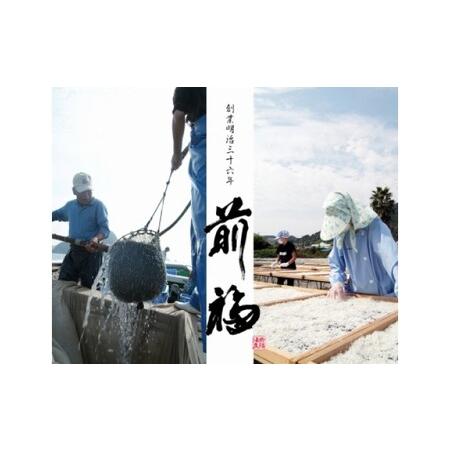 ふるさと納税 E6004n_釜揚げしらす 800ｇ・しらす丼のたれ10食分セット 和歌山県湯浅町