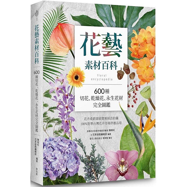 21 乾燥花素材推薦 十一月優惠比價 Line購物