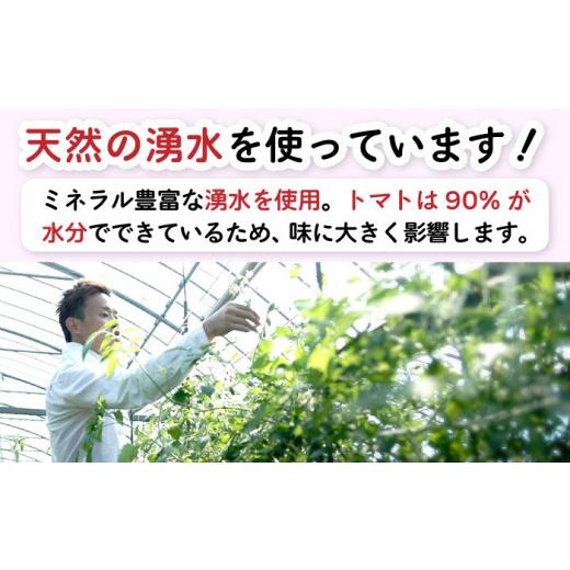 ふるさと納税 長崎県 南島原市 アイコトマト 約3kg 南島原市 ／ とまと トマト 野菜 ／ 長崎県農産品流通合同会社 [SCB052]