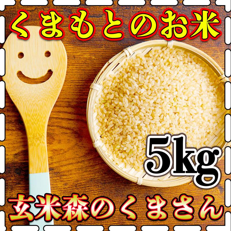 お米 米 5kg 玄米 熊本県産 森のくまさん 新米 令和5年産 あすつく 5kg1個 くまもとのお米 富田商店 とみた商店