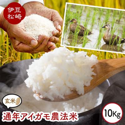 ふるさと納税 松崎町 山芳園の天日干し 通年合鴨農法米 うるち玄米 10kg(5kg×2袋)