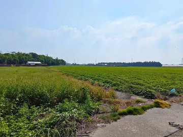 雲林土庫崙內段漂亮農地｜雲林縣土庫鎮崙內