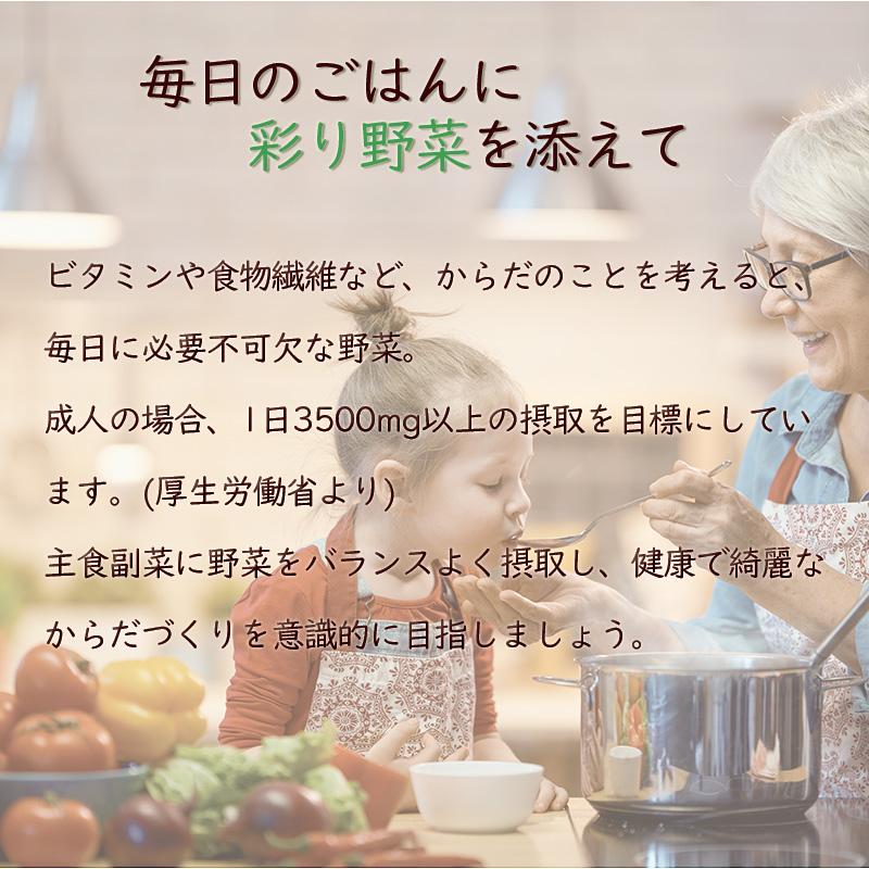 お任せ 野菜セット 約10種 お取り寄せ 詰め合わせ 常備菜 一人暮らし 仕送り