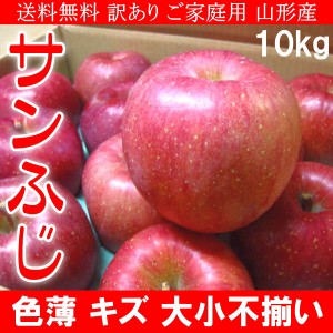 送料無料 訳あり ご家庭用 山形産 サンふじ りんご 色薄 キズ 大小不揃い 10kg ご予約