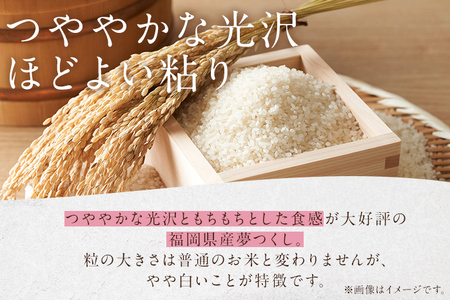 福岡の人気銘柄!!福岡県産夢つくし5kg×6袋（合計30kg） 福岡県産 夢つくし ゆめつくし 米 お米 白米 福岡県産米