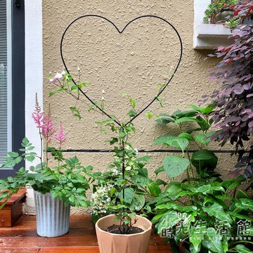 米蔻簡約時尚心形花架花插鐵線蓮爬藤架月季藤蔓園藝支架2個裝 99購物節