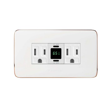 EZ CHARGER 國際牌 Panasonic(R) Risna(R)面板-磐石65W USB(C+C)+磐石AC安全插座x2