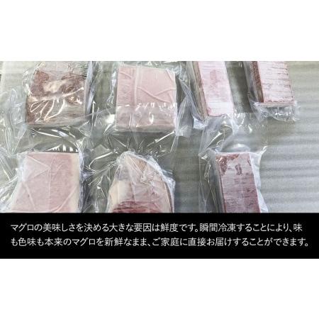 ふるさと納税 本まぐろづくし セット 大トロ500g 中トロ600g 赤身600g 鮪 海鮮丼 刺し身 刺身 盛り合わせ 冷凍 魚の刺身 大分県産 九州産 津久.. 大分県津久見市