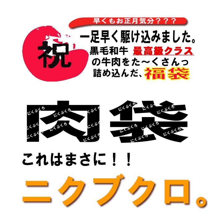 福袋 送料無料 ヤキニクブクロ 阿波牛の藤原 黒毛和牛 焼肉 セット