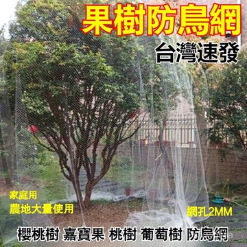 台灣出貨 果樹防鳥網 櫻桃樹枇杷樹嘉寶樹防鳥罩 尼龍網 葡萄園擋鳥攔 鳥網子 家用農用 尼龍網 養殖網 保護網大棚防護網