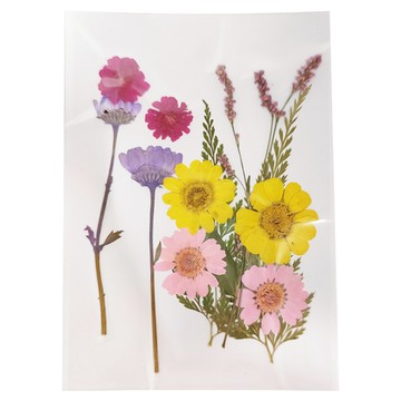 A-ONE 匯旺 小花包 天然植物壓花 14.5 x 10.5 CM  花花草草