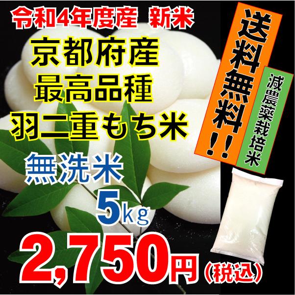 京都府産　無洗米　減農薬栽培　羽二重もち米5kg　餅米　2023年産　送料無料　　配送料無料