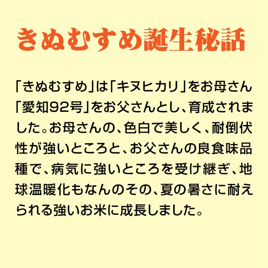 新米 令和5年産 きぬむすめ 鳥取県産 5kg 米 お米 白米 R5