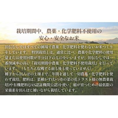 ふるさと納税 石巻市 令和5年産 特別栽培米 ササニシキ 玄米 10kg