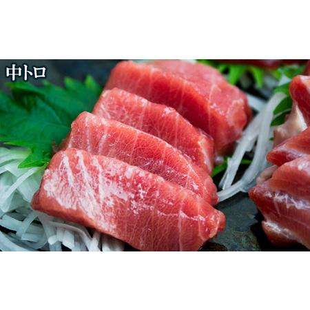 ふるさと納税 　本部町産　本マグロづくし（大トロ・中トロ・赤身）約800g〜1000g 沖縄県本部町