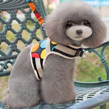 現貨+預購 狗牽繩 寵物胸背帶拉繩-結實透氣帆布時尚 寵物用品6色72ao6【獨家進口】【米蘭精品】