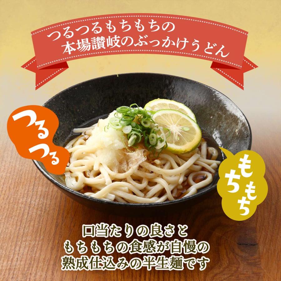 [讃州] 讃岐うどん うどん県 じっくり熟成仕込み 半生麺 讃岐ぶっかけうどん 3人前  讃岐 さぬき 香川県 讃岐つゆ ぶっかけ 麺類 コシ 製麺 香川名物