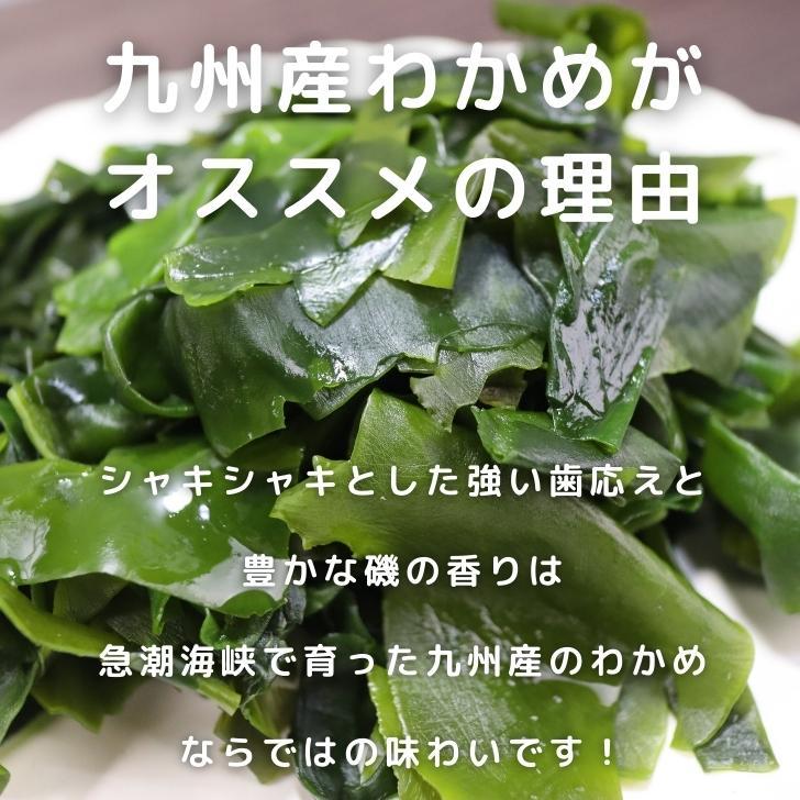 九州産 カットわかめ 100g × 2袋 200g 国産 乾燥わかめ カットワカメ 若布 無添加 無着色 送料無料 チャック付袋 お徳用 スープ 味噌汁 サラダ