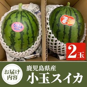 ふるさと納税 ＜先行予約受付中！2024年4月下旬より順次発送＞鹿児島県産 小玉スイカ(2玉) 国産 果物 スイカ すいか 西瓜 フルーツ スイーツ.. 鹿児島県阿久根市