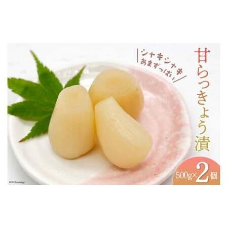 ふるさと納税  甘らっきょう漬 500g×2個 計1kg [山梨農産食品 山梨県 韮崎市 20742090]らっきょう らっきょ 漬物 山梨県韮崎市