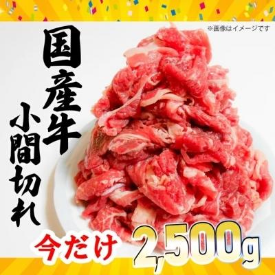 ふるさと納税 境町 国産牛小間切れ 今だけ大増量2.5kg!