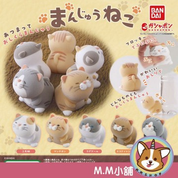 【M.M小舖】『現貨』BANDAI 轉蛋 扭蛋 Q彈饅頭植絨貓貓 饅頭 植絨 貓貓 公仔 Q彈 貓咪 動物 全5款