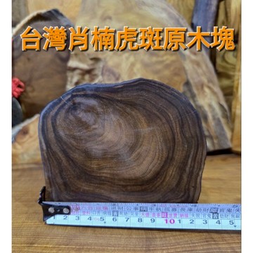 客製化木料 客製請用聊聊 台灣虎斑肖楠 台灣一級木 可議價 稀有件 芳山肖楠館