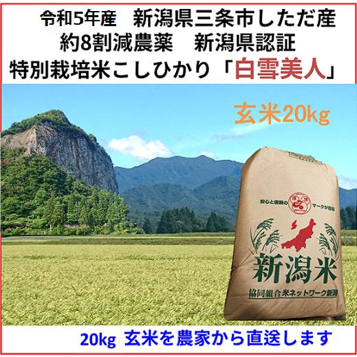 令和5年産新米　減農薬　新潟コシヒカリ玄米20kg 新潟県三条市旧しただ村産　新潟県認証　特別栽培米100%　偽装も混米も無し　白雪美人　グルテンフリー