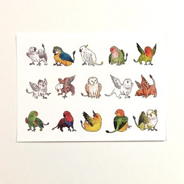 鸚鵡的日常-鸚鵡獅鷲獸 插畫明信片