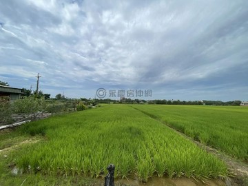 桃市新屋區近景碩科技臨路5米美田(2)｜桃園市新屋區石磊子