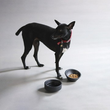 MATTTE｜寵物不倒飼料碗250ml+水碗650ml (消光黑組合)