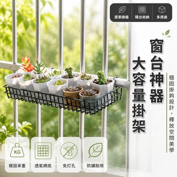 台灣出貨✨ 加粗鐵藝掛籃 窗台置物架 陽台收納架 多肉盆栽托盤 超市貨架配件 40x15cm 白色黑色勾距可選