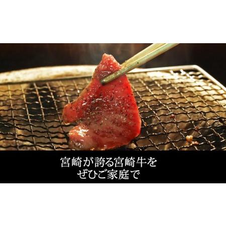 ふるさと納税 宮崎牛 三角 バラ 焼肉 600g 牛肉 BBQ バーベキュー トロ ばら 大トロ カルビ 真空 冷凍 牛肉 内閣総理大臣賞受賞 牛肉 宮崎県産 .. 宮崎県美郷町